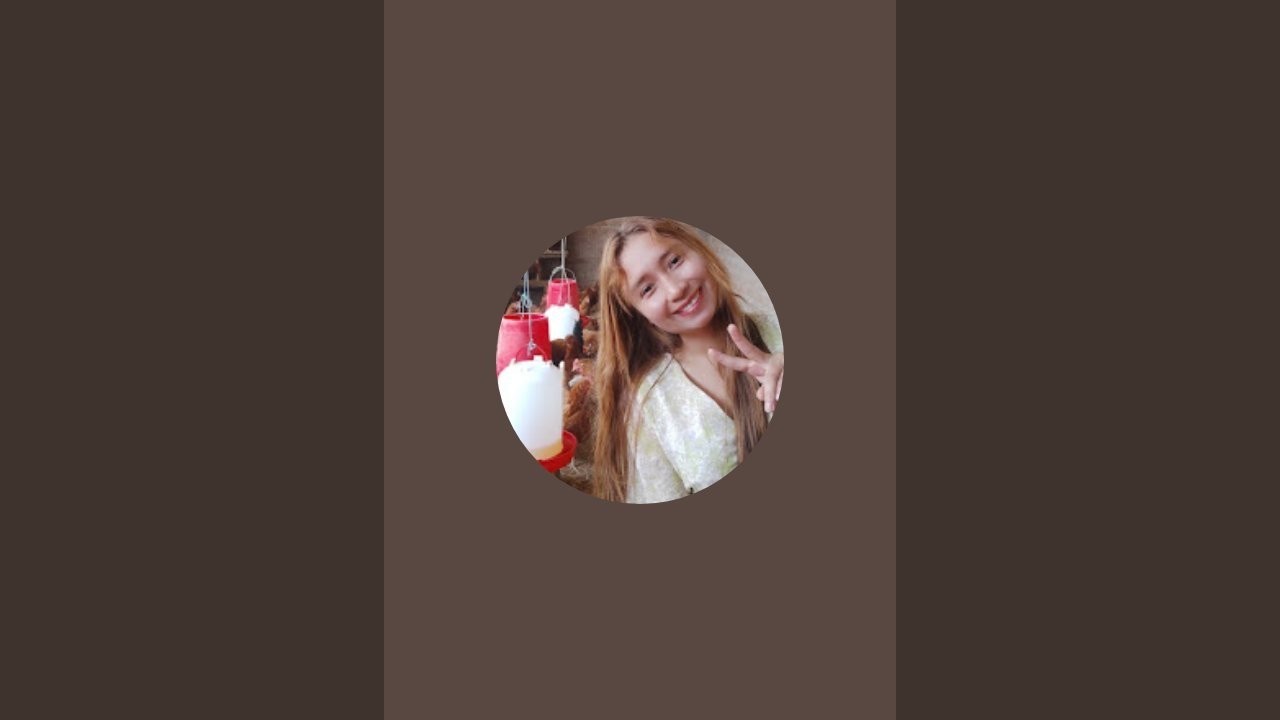 AVICULTURE - ROSALY SULCA gallinas ponedoras 🥚🐣