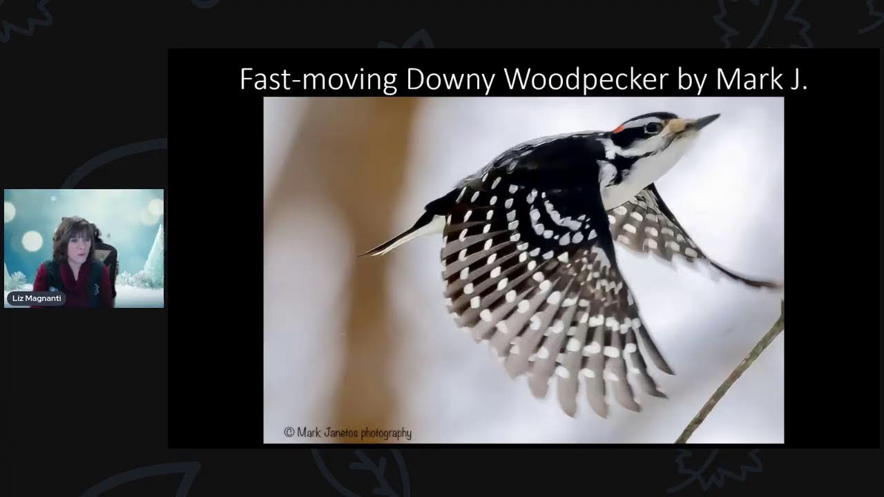 Rebroadcast- Mid-February Birding Update