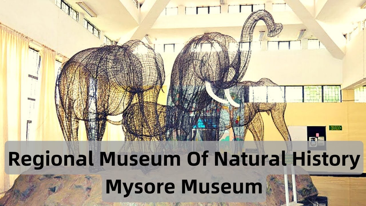 Regional Museum of Natural History Mysore || #mysuru #touristplaces