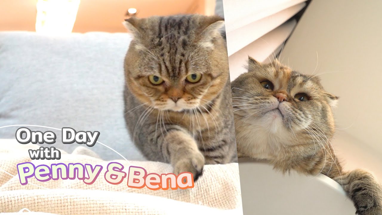 One Day with Penny & Bena
