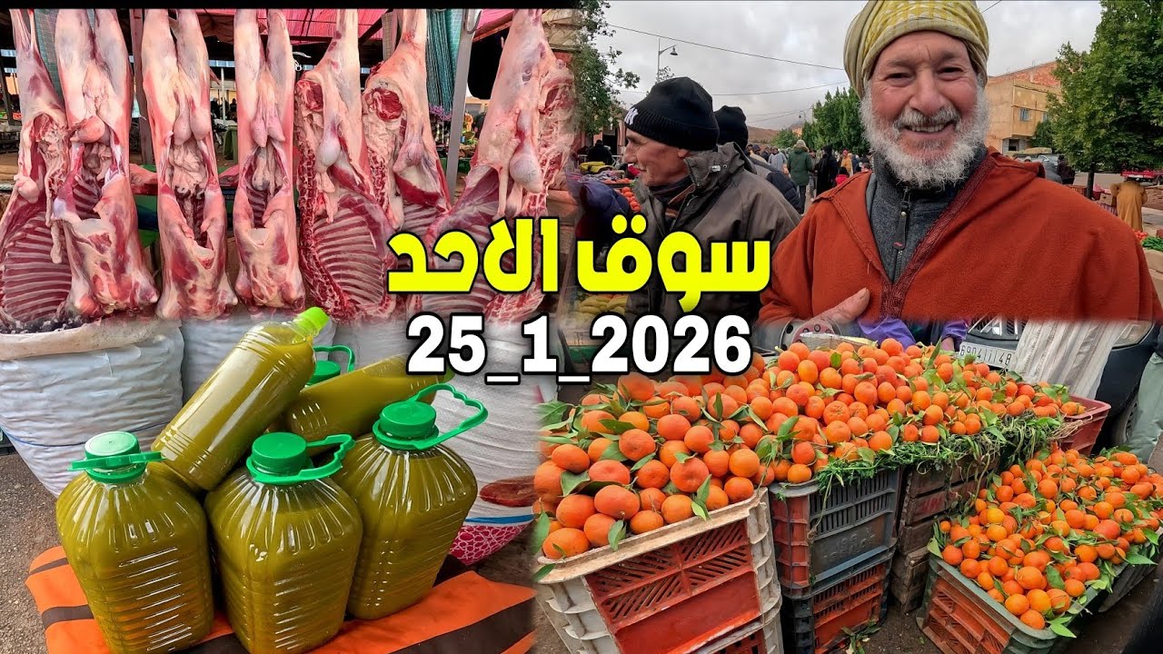 أثمنة الخضر والفواكه والزيت واللحـوم والأسماك والدواجن بسوق الأحد رسلان إقليم بركان 25_1_2026