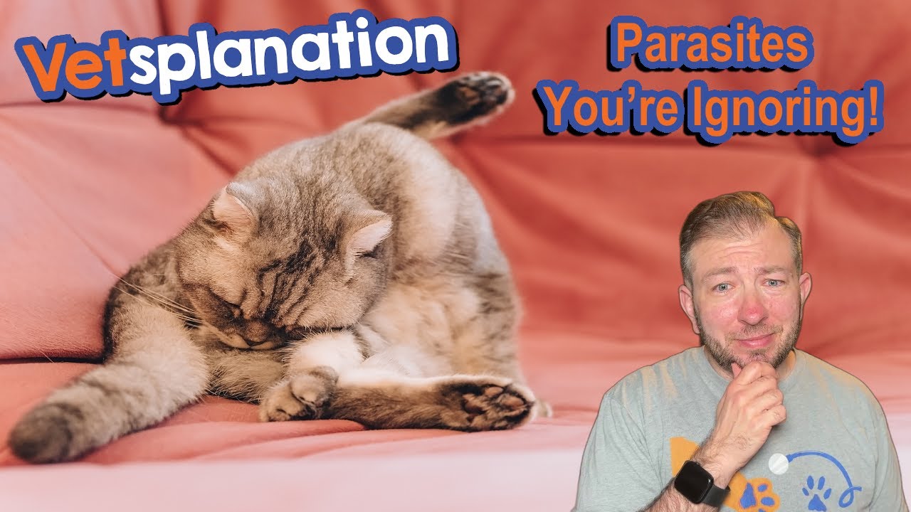 Must-Know Parasites That Could Harm Your Pets!