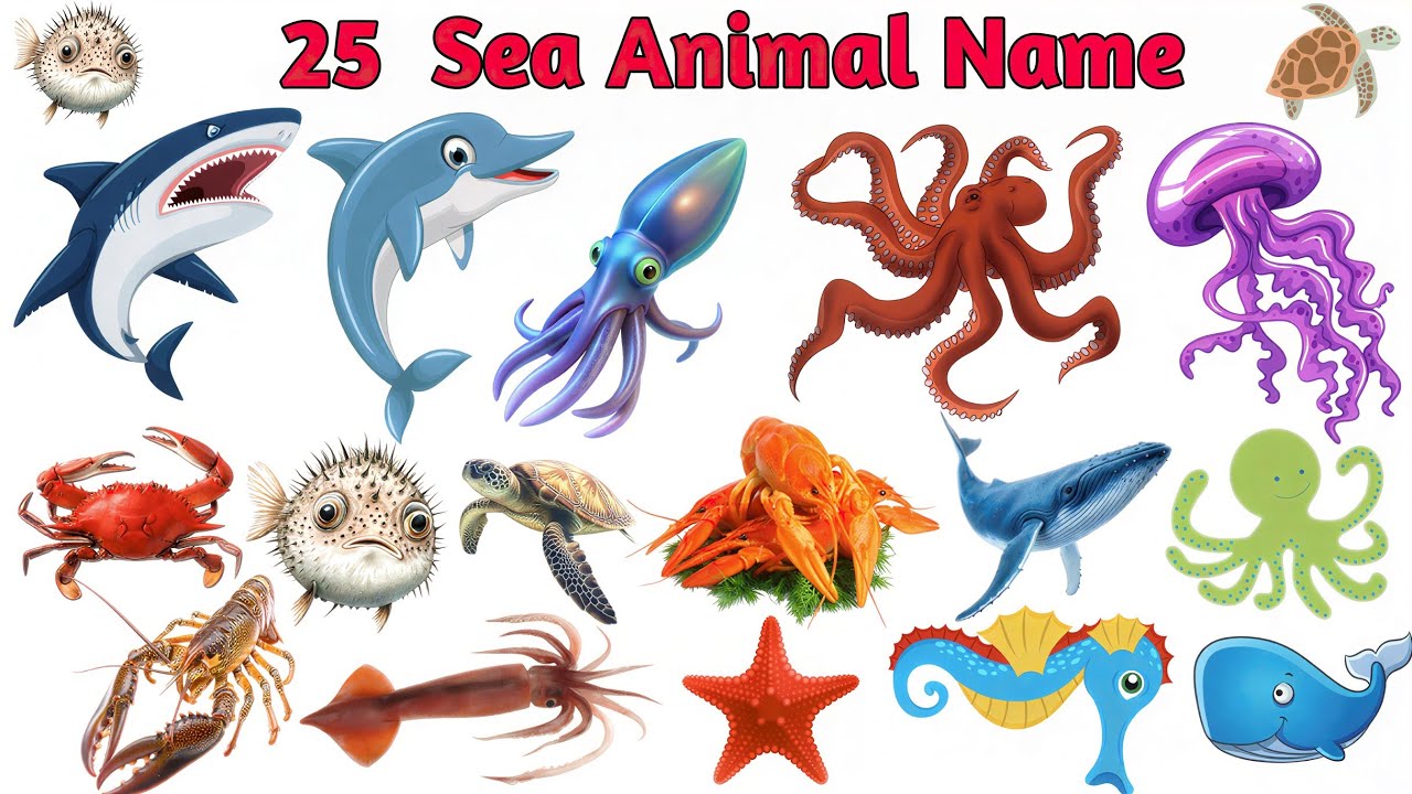 Learn 25 Sea Creatures Names In English & Hindi With Fun | Fun Learning For Children