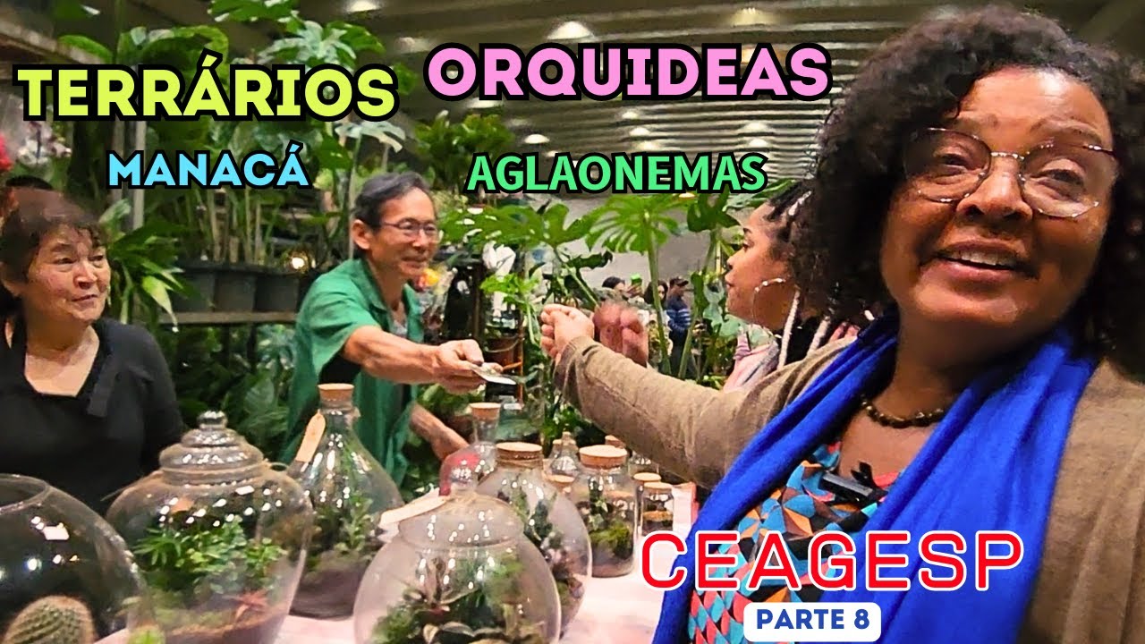 CEAGESP ORQUÍDEAS, TERRÁRIO, AGLAONEMA, MANACÁ, E MUITAS PLANTAS
