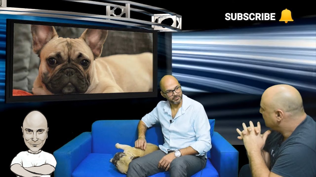 Γαλλικό Bulldog French Bulldog τα πάντα από τον εκτροφέα Νικόλαο Ρουσίδη Επ. 13