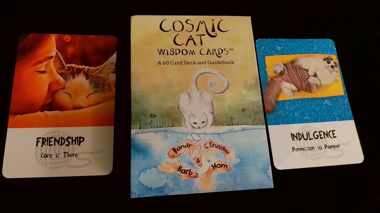 Meet the Cosmic Cat  Wisdom Cards