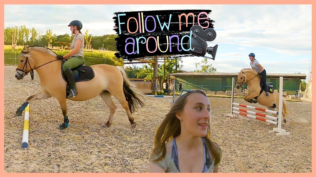 🐎 FMA: Springstunde & Dreh von neuen Videos 🎬 // Blondis auf Fjordis