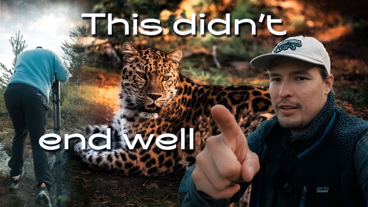This Wildlife Trip Didn&rsquo;t End Well | Knee Injury in the Mountains