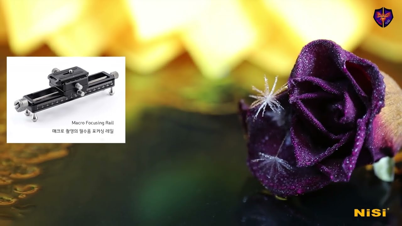 물방울접사촬영, 니시 매크로 포커싱 레일, 인터넷사진강의 www.yafik.kr 야픽,니시 클로즈업 렌즈 킷, 라오와 100mm 매크로 렌즈, 웨이펑 카본 삼각대 HJ-C285