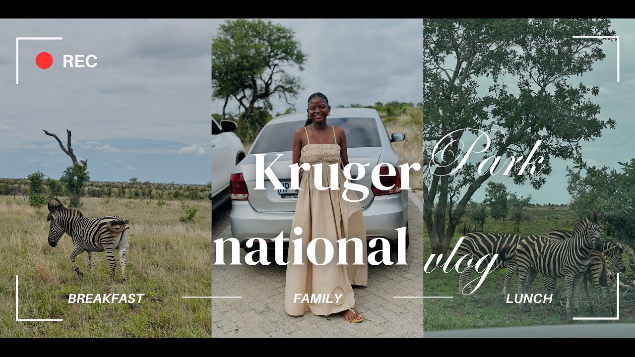 Exploring Kruger National Park for the second time|family time|the animals we saw|a day after xmas|
