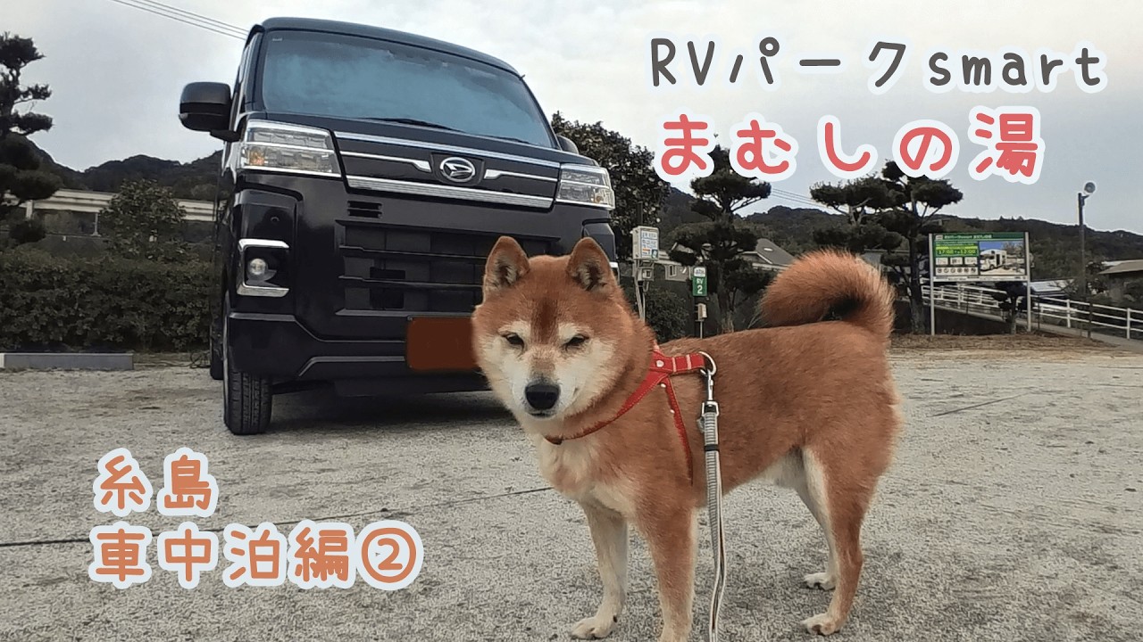 【糸島車中泊②】RVパークsmart まむしの湯で愛犬と車中泊　#車中泊　#わんこ旅　#犬散歩 #ぼっち女 #柴犬　#愛犬