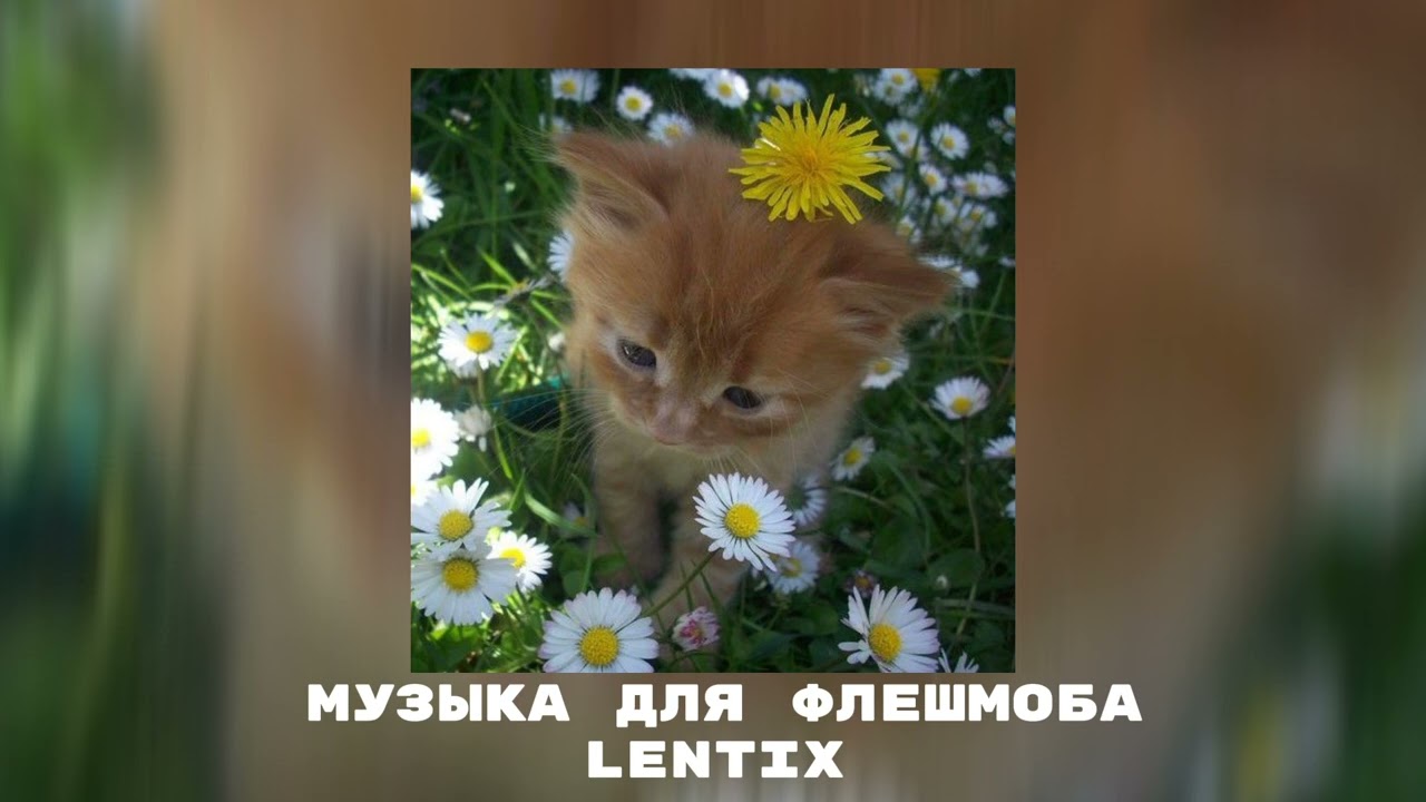 🍀музыка для флешмоба✨