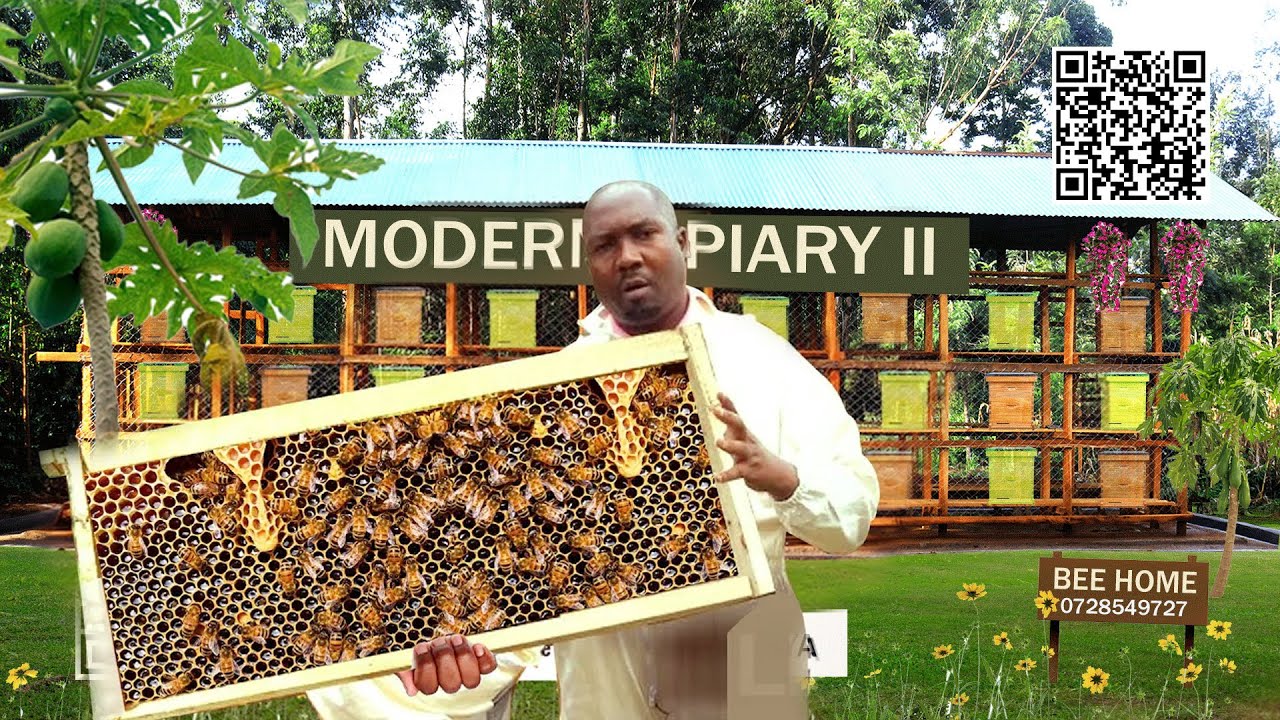 Day 1 to Sweet Rewards: Navigating Your Beekeeping Adventure