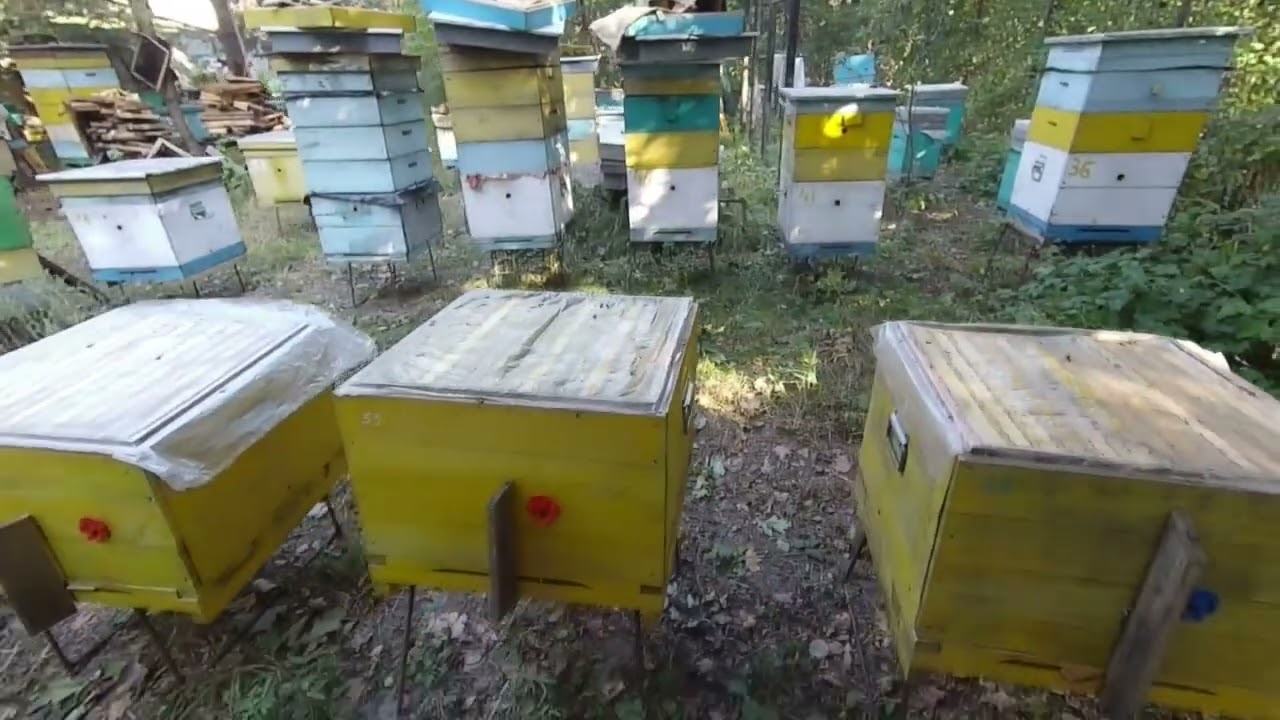Китайський  спрей (аерозоль) від кліща Варроа 