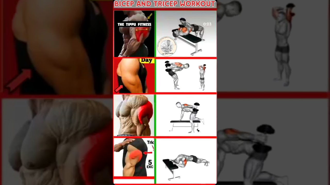 💪 Bicep & Tricep Workout🔥 | Arm Day Pump | 
