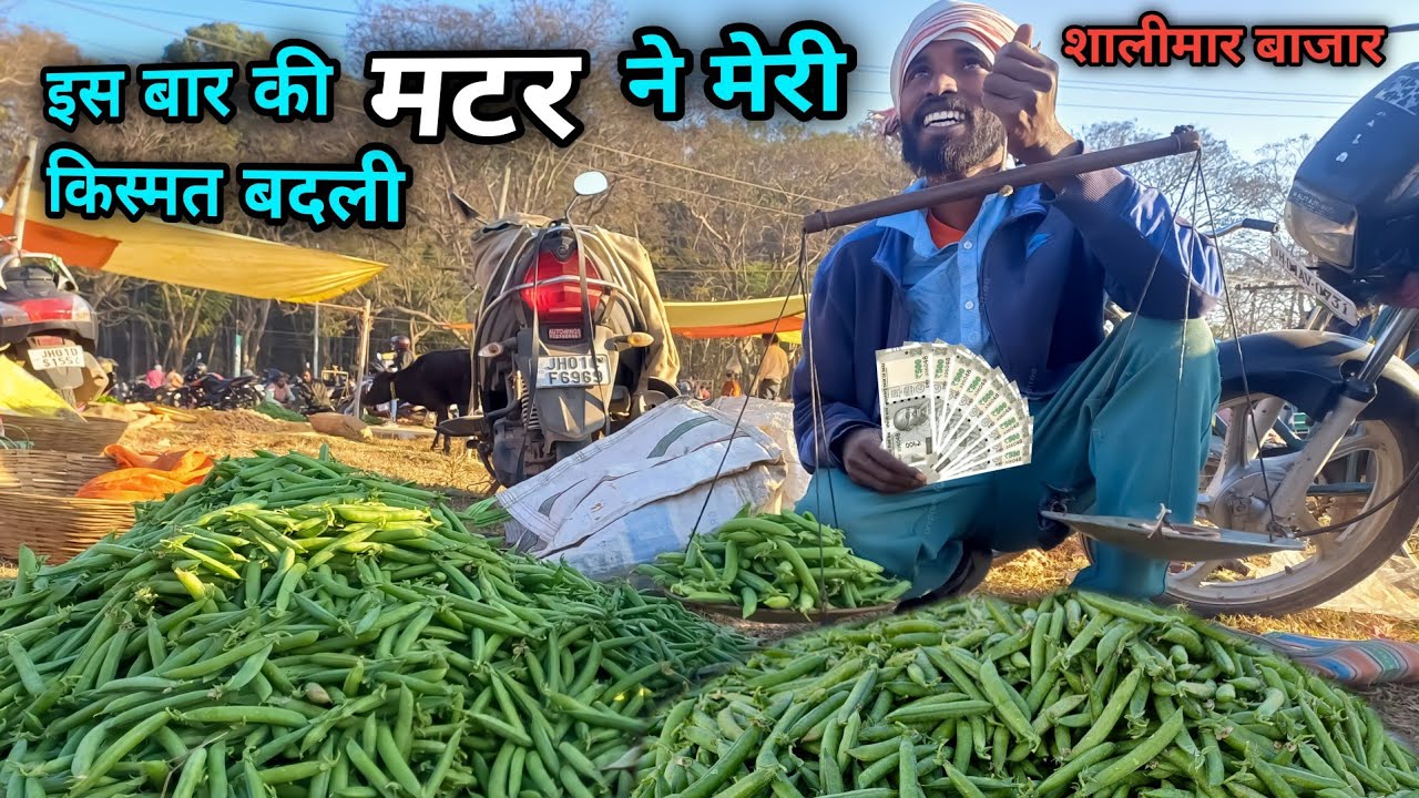मटर बेचकर मजा आ गया इस बार 🫛🫛// Ranchi Raja//Raja Oraon 