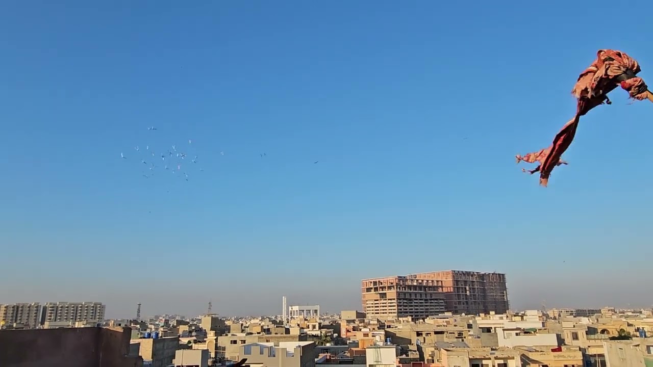 Korangi crossing pigeons sufyan khan_673 ggoletukri 😍🫠 tawa #biker_673 #tgsufyankhan #2026 #februar