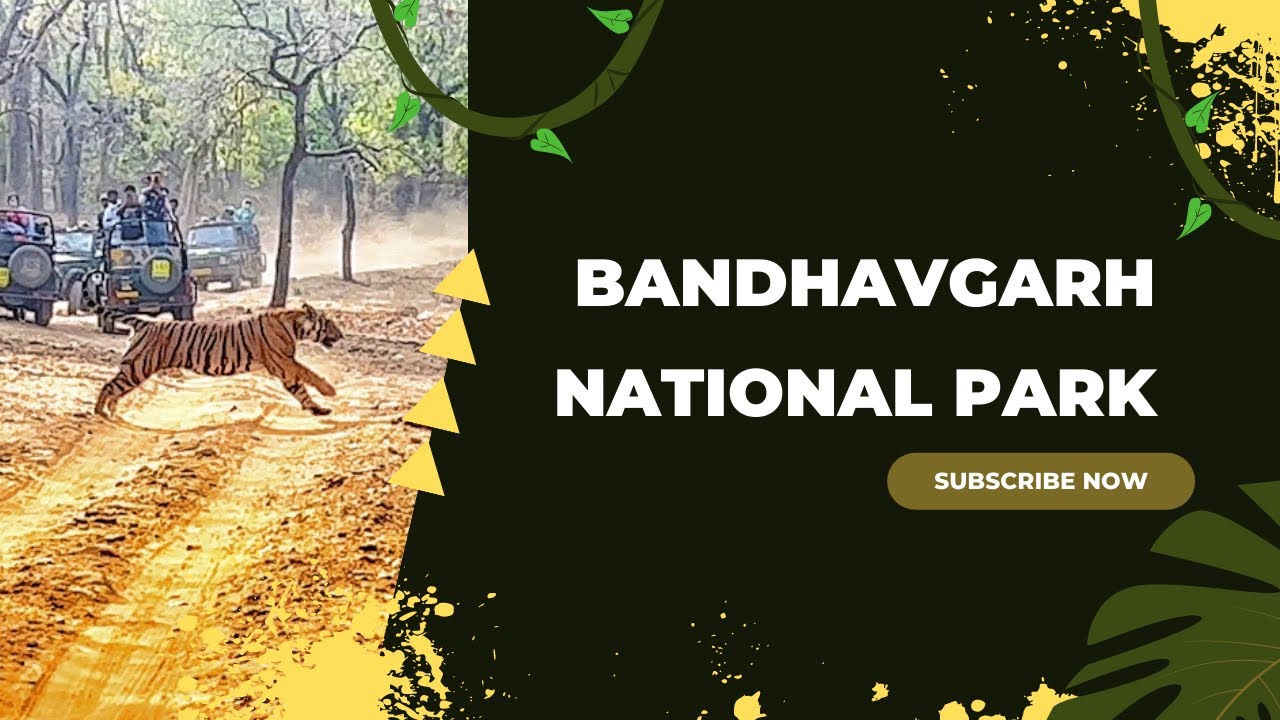 BANDHAVGARH NATIONAL PARK I TIGER RESERVE I MADHYA PRADESH I SOLO TRAVELLER I ABHIARU LOVES