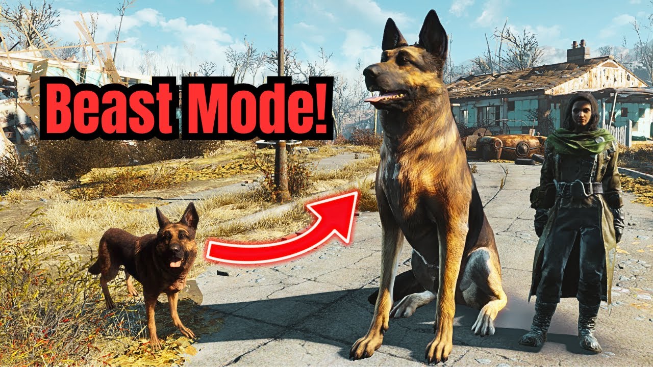 All You Need To Know About DOGMEAT To Make Him a BEAST! - Fallout 4 Guide