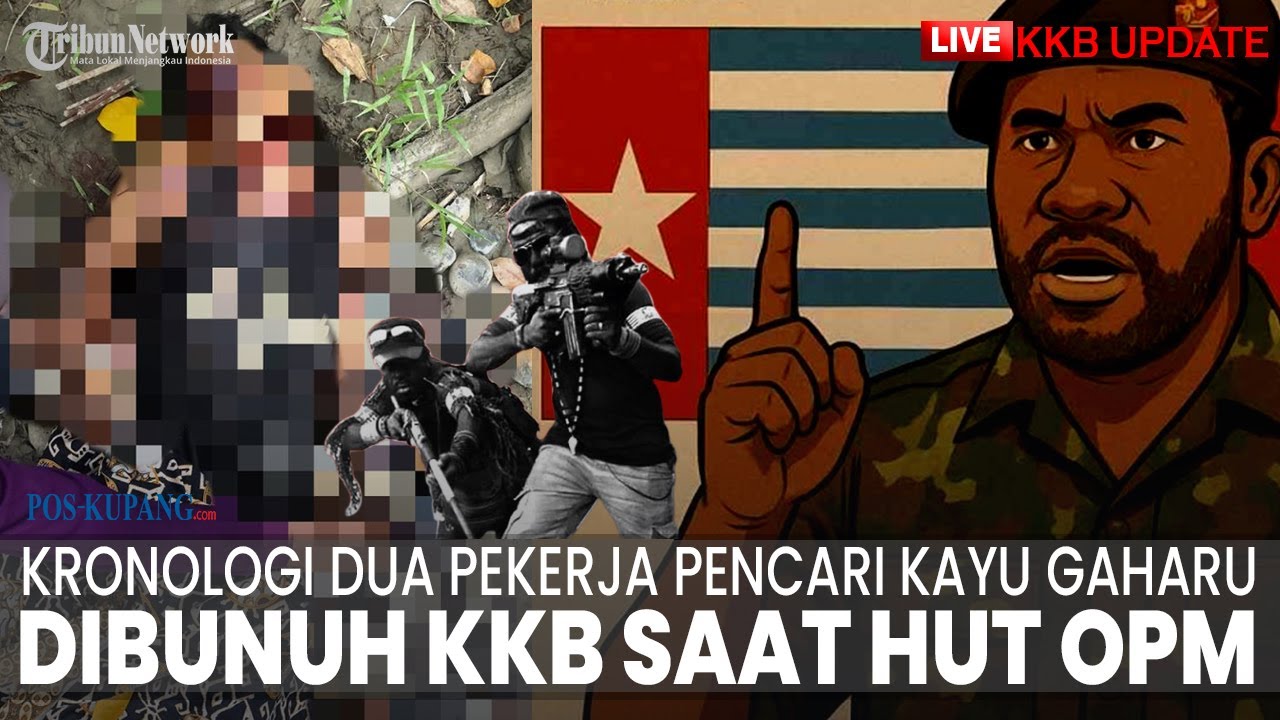 🔴LIVE UPDATE KKB: HUT OPM, KKB Papua Bunuh Dua Pekerja Pencari Kayu Gaharu, Polisi Ungkap Kronologi