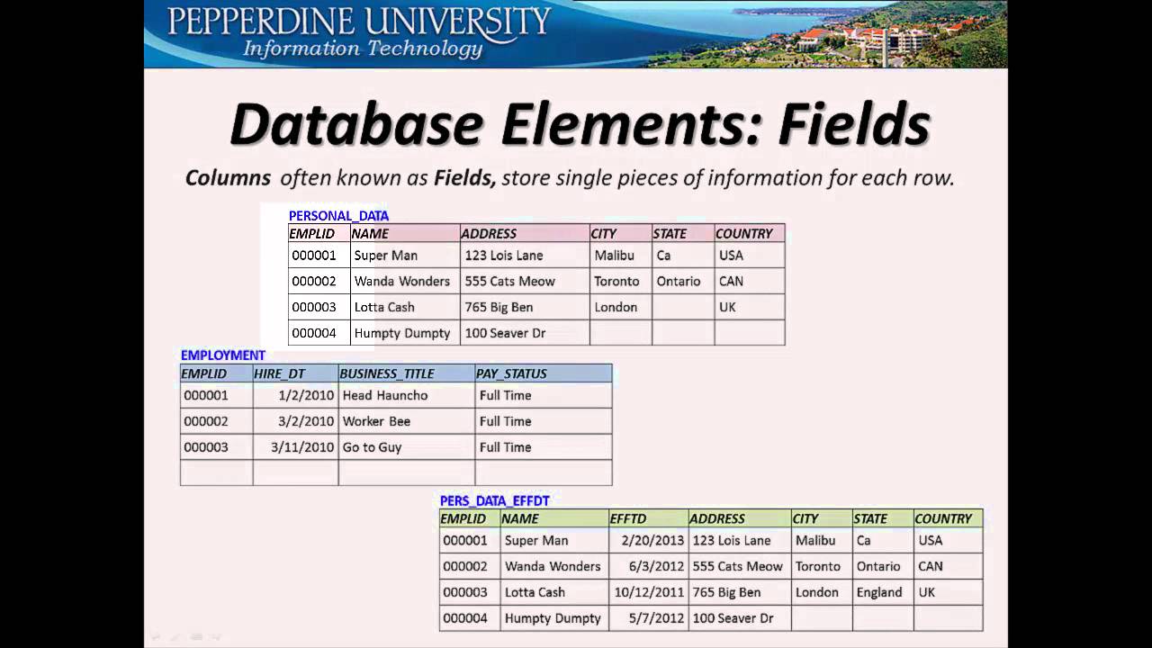 Query Basics: Pepperdine University