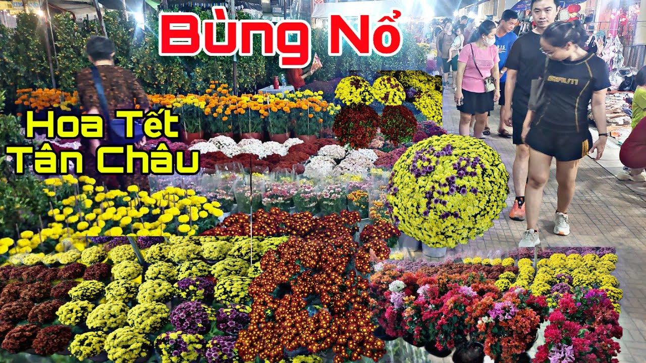 Bùng Nổ Chợ Hoa tết 2026, Tân Châu An Giang, Xôn xao Sắm Tết  