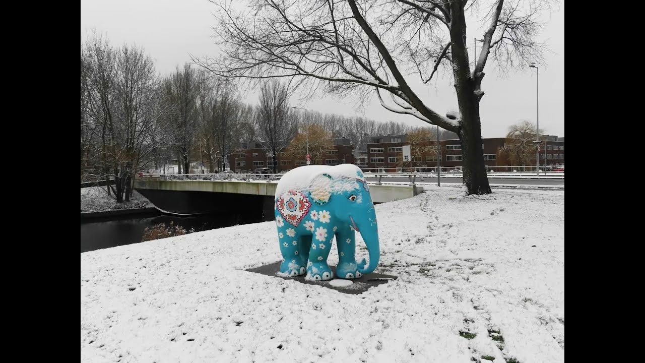 Sneeuwval in Amsterdam-West en Nieuw-West  29 januari 2026