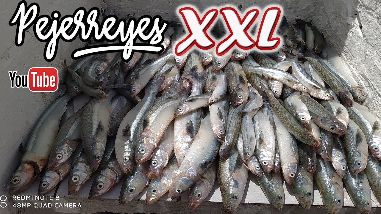 Pesca de Pejerrey /LA PALOMA URUGUAY/ !QUE PESCA!