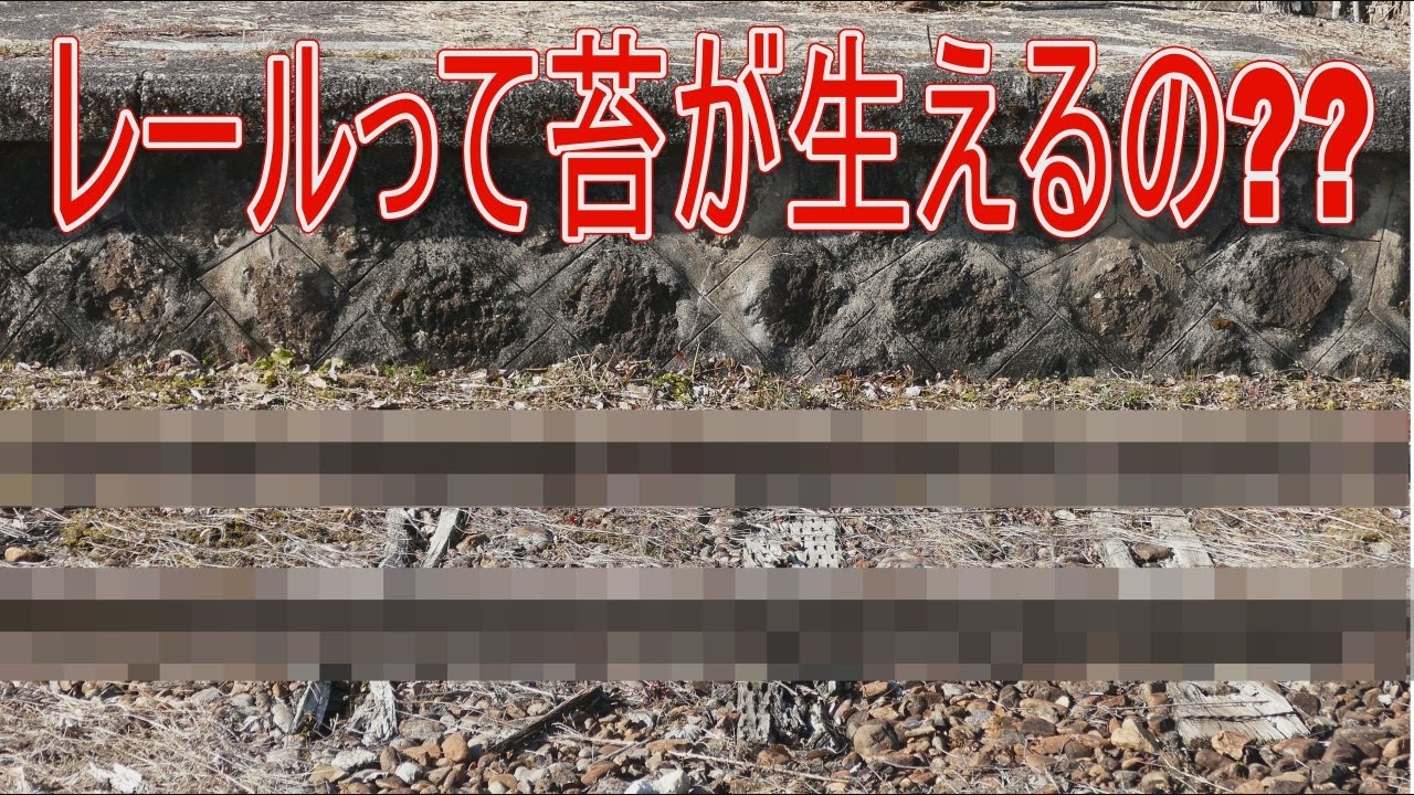 【駅に行って来た】明知鉄道明知線阿木駅に苔の生えたレールがあるらしい!?