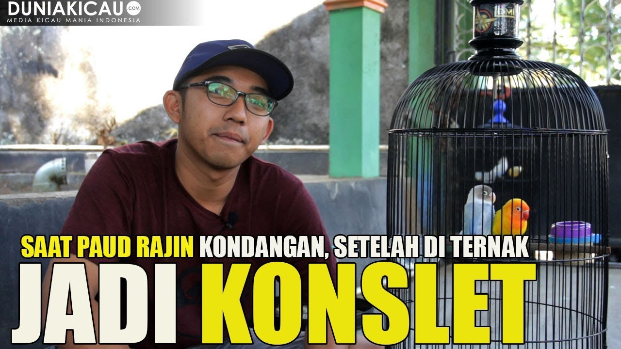 jadi KONSLET setelah di TERNAK !!!  kok bisa ??