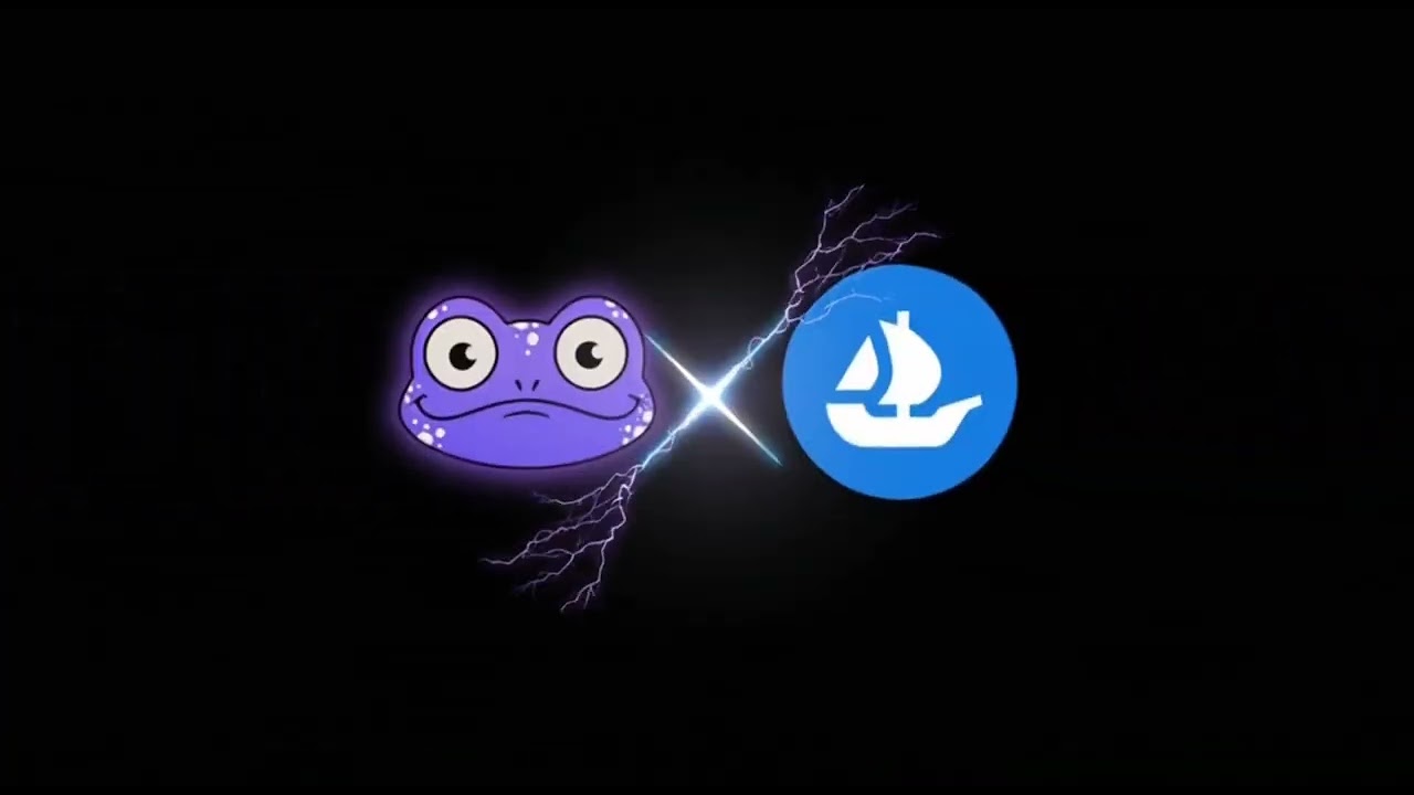 NFT Drop Spotlight: BOINK NFTs | 75/100