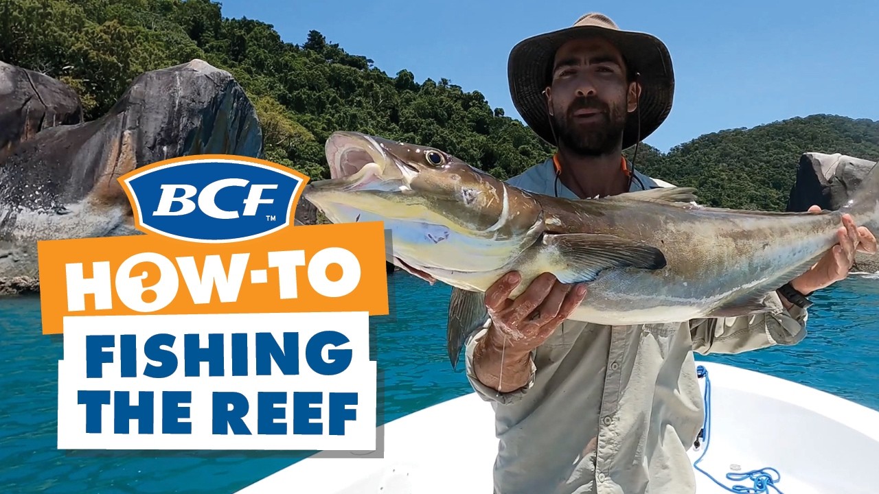 How To Fish the FNQ Reef