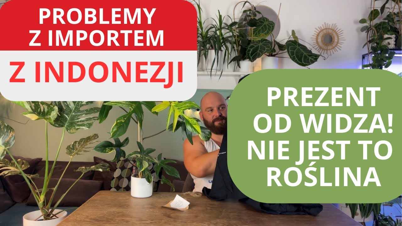 Problemy z importem z Indonezji oraz prezent od widza