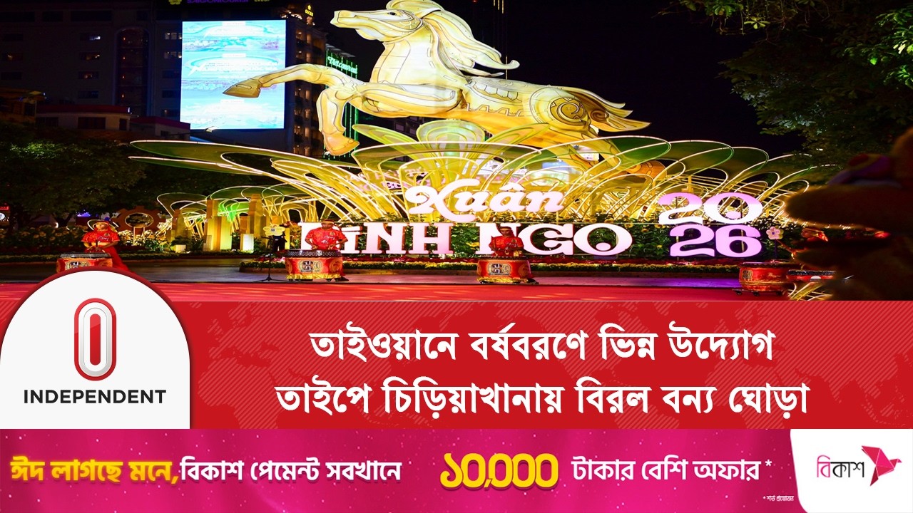 চন্দ্র নববর্ষে তাইপে চিড়িয়াখানায় বিরল বন্য ঘোড়া প্রদর্শনী | Taipei Zoo | Independent TV
