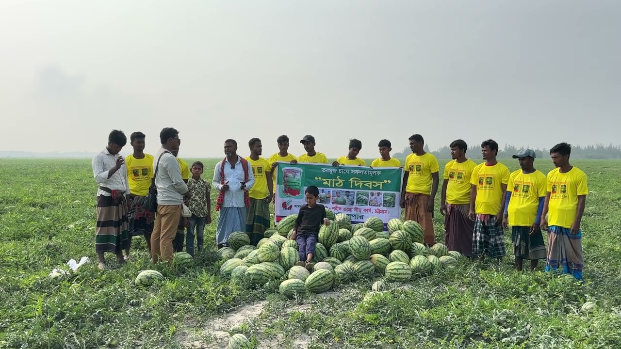 বাংলাদেশের সবচেয়ে ভালো তরমুজ বীজ থাই সুপার #watermelon #field #farming #farmer #thaisuper 
