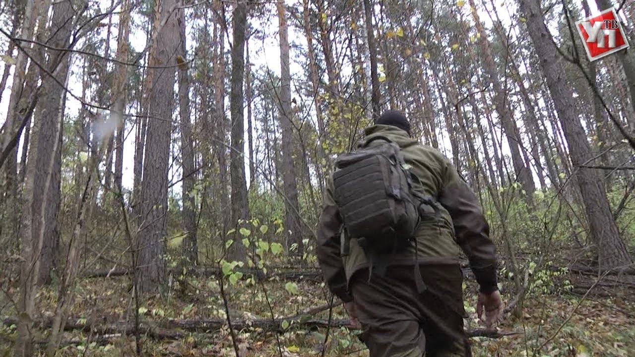 Тайное место. В Ульяновской области обнаружили чурбаки, которым 50 миллионов лет