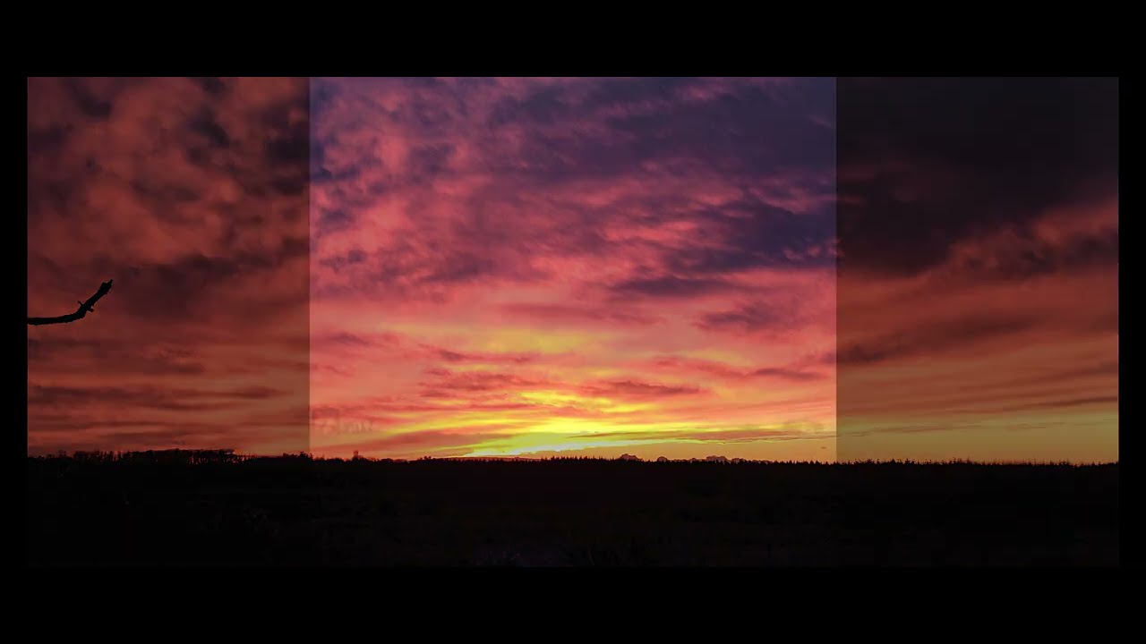 Foxhunter's Reel