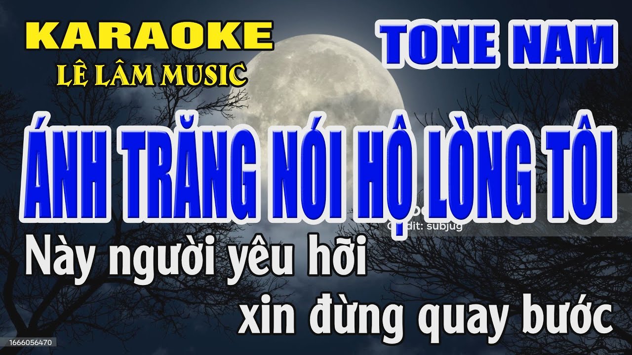 Karaoke Ánh Trăng Nói Hộ Lòng Tôi Tone Nam ( E ) Lê Lâm Music