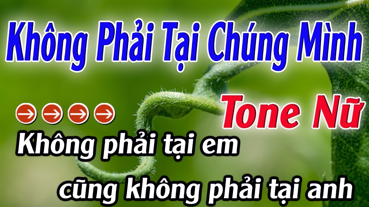 Karaoke Không Phải Tại Chúng Mình Karaoke Tone Nữ Beat Hay Nhất 2026 Karaoke Mê Nhạc Sống