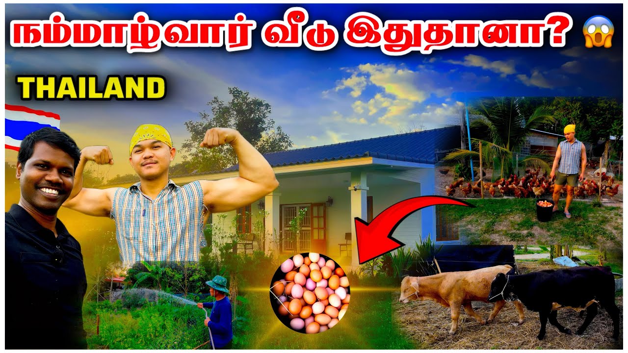 Life in a Thai Village | 200 Eggs a Day 🥚 | Sufficiency Economy Farm Tour 🌿