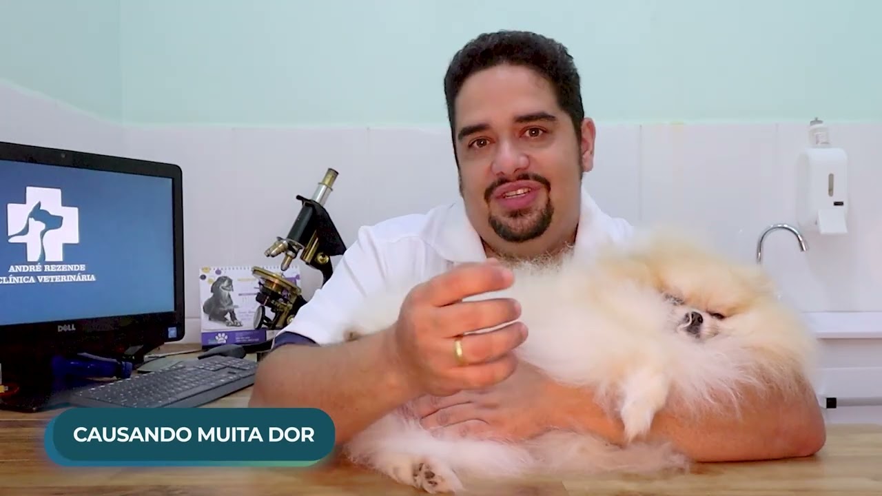 Luxação de patela em cães