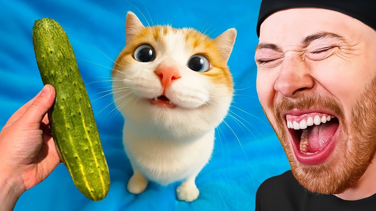 Funniest ANIMALS in the WORLD