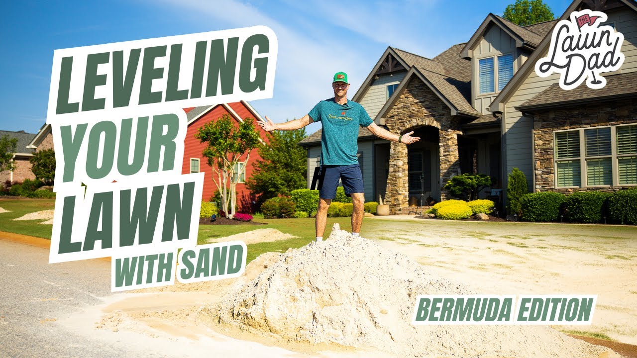 Leveling your Bermuda lawn with SAND the easy way