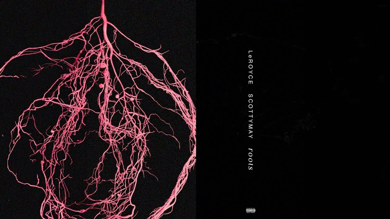 LeRoyce - Roots (feat. ScottyMay)