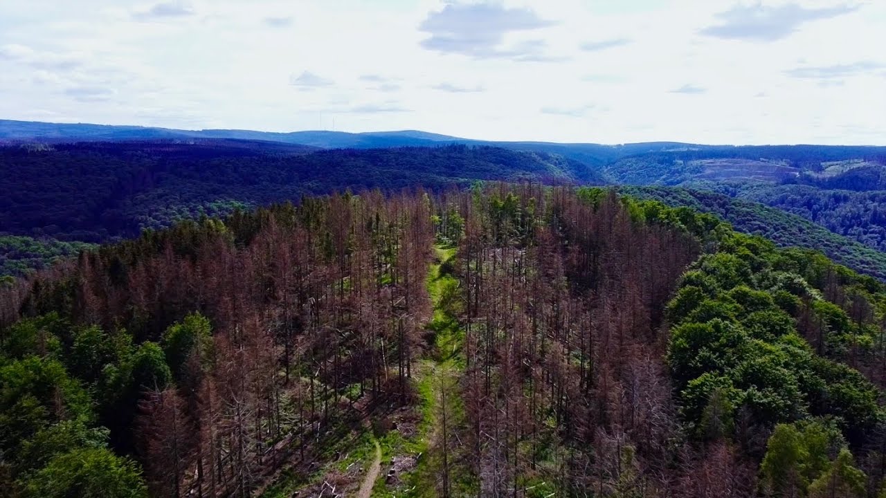 Flying my Mavic Mini at Harz National Park Germany, Mountain View - Drone Footage, Marc Travel