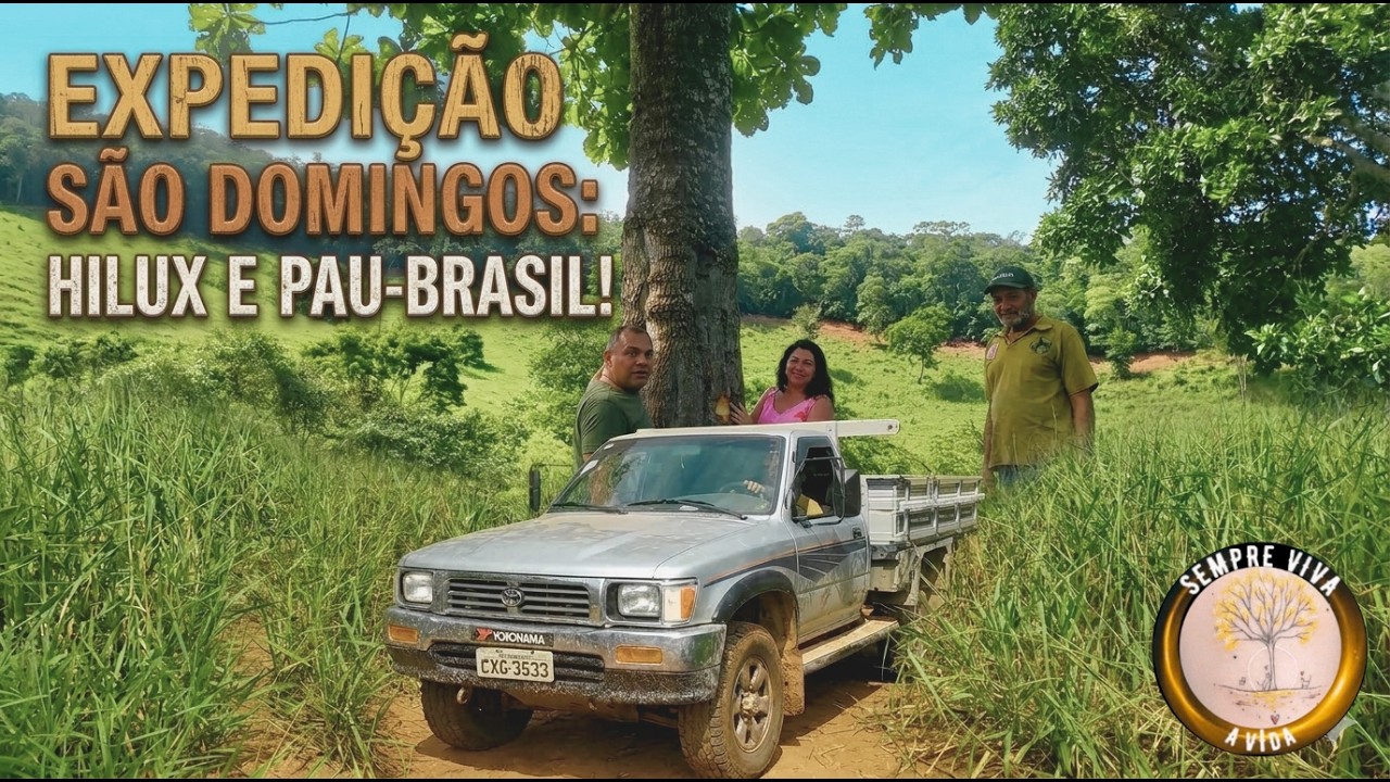 Expedição São Domingos: Hilux e Pau-Brasil!