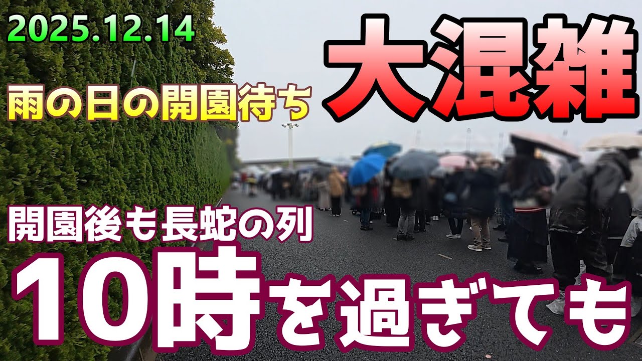 10時でも長蛇の列…雨の日ディズニー開園待ちの現実