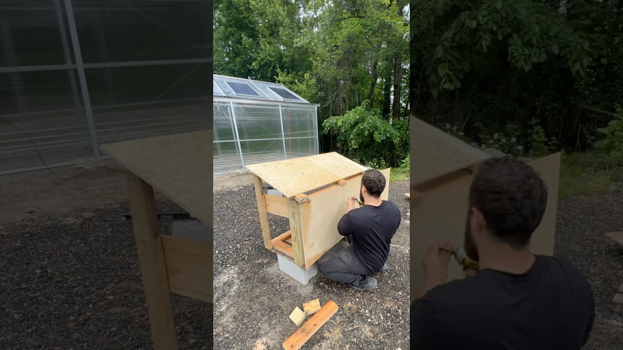 Building a house for my snapping turtle!
