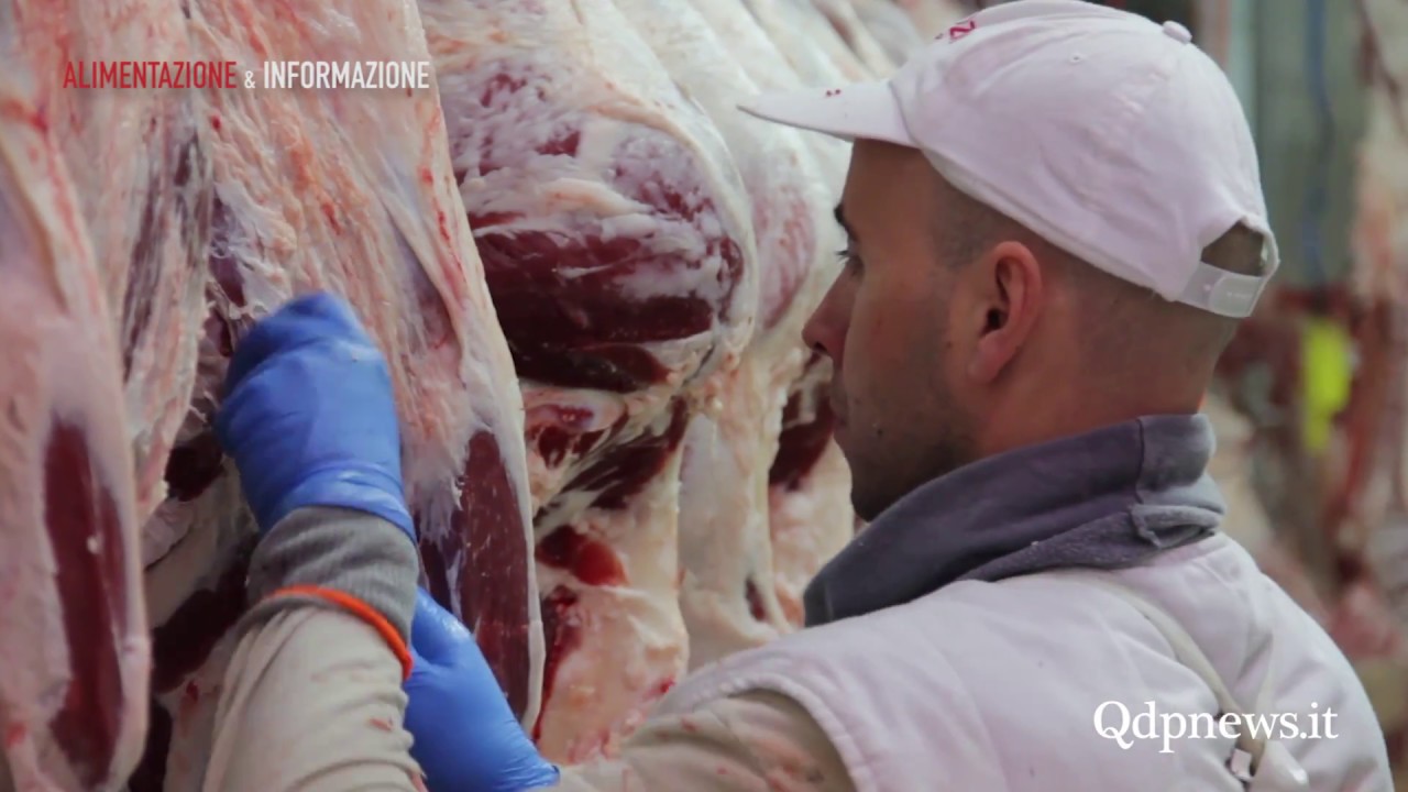 Alimentazione & Informazione - La filiera di qualità con  Colomberotto Carni