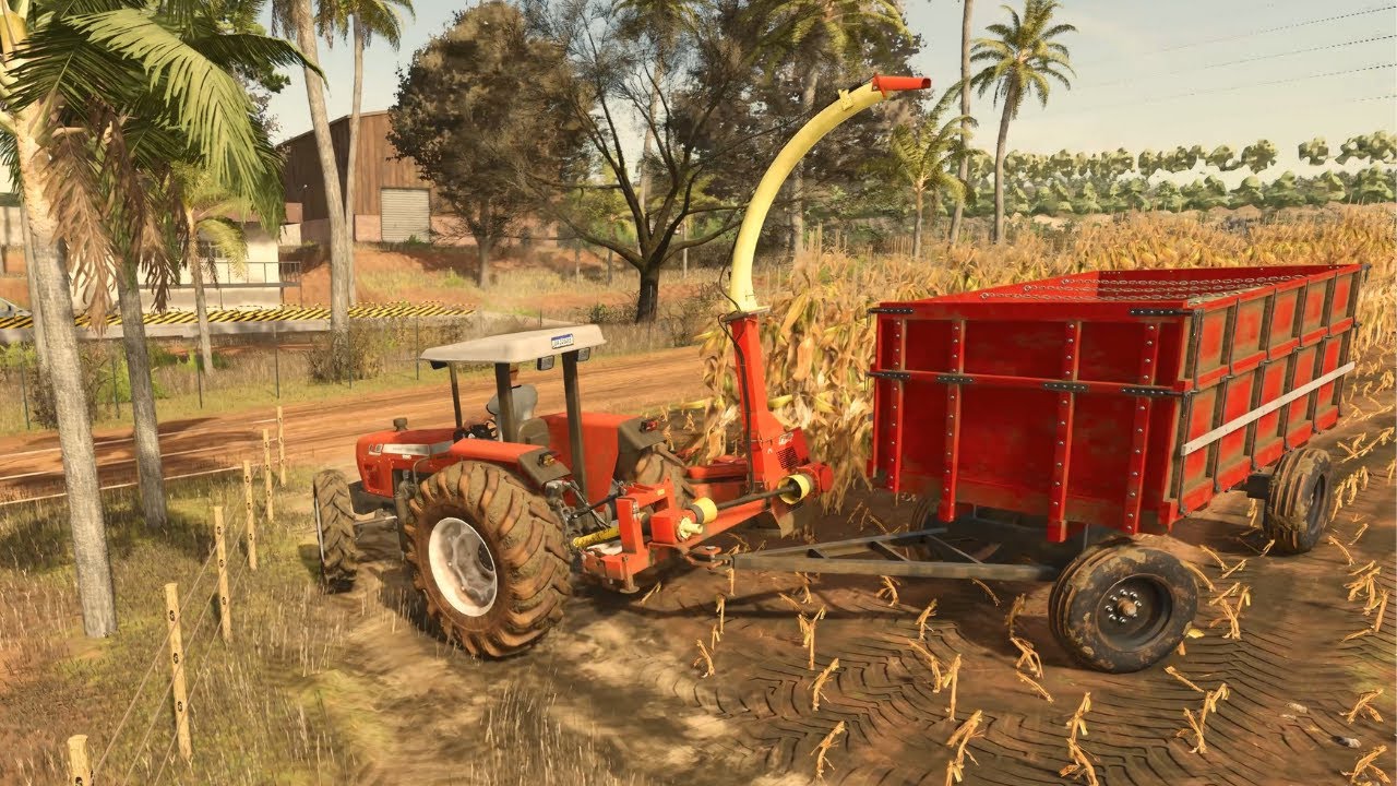 SÓ NA SILAGEM - Faisca cortando milho para fazer silagem, o gado agradece - Farming Simulator 25